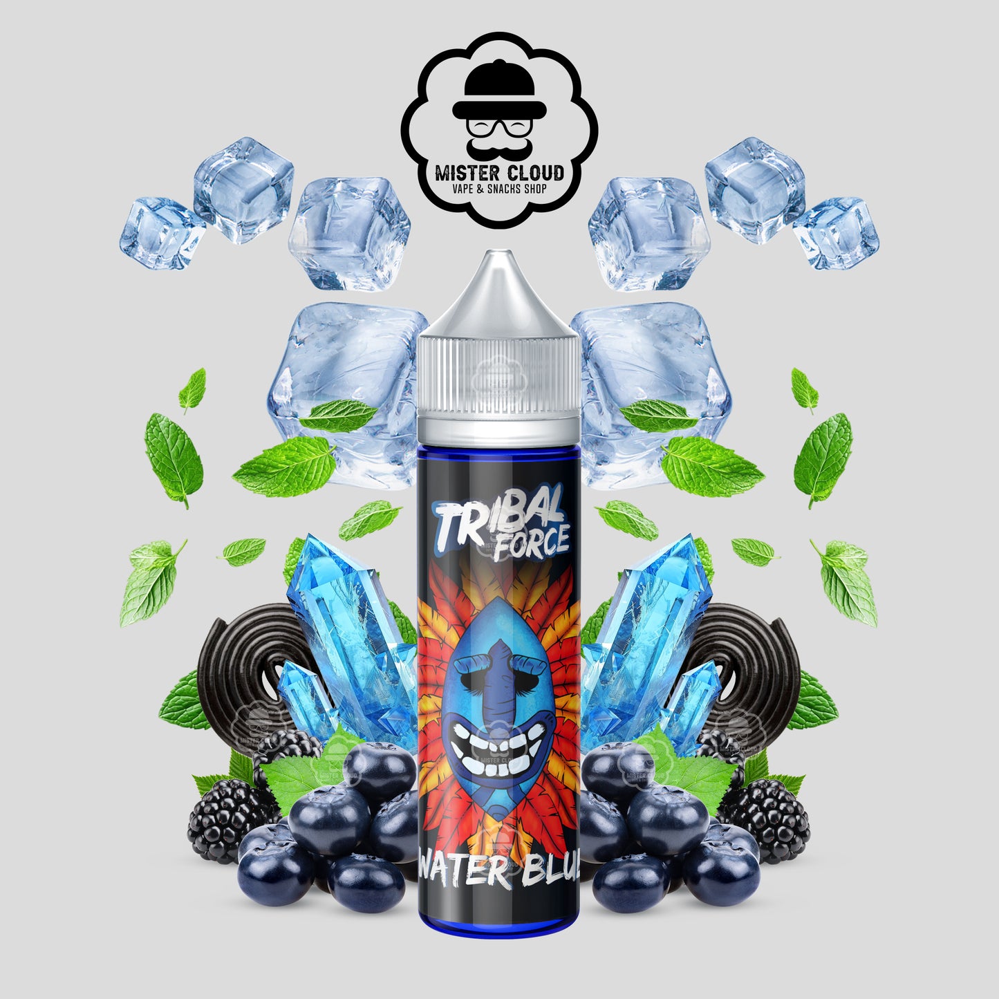E-LIQUIDE TRIBAL FORCE WATER BLUE 50ML - MISTER CLOUD